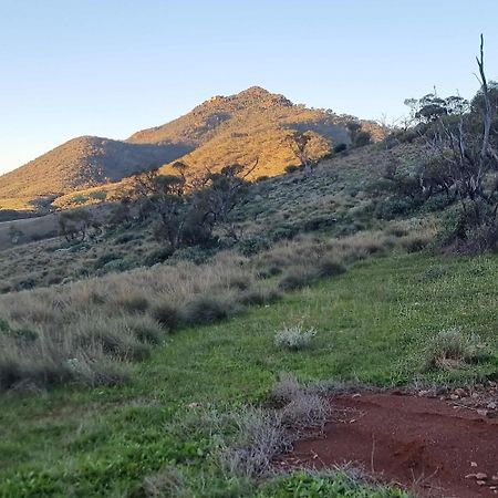 Вилла Pichi Richi Park Quorn Экстерьер фото
